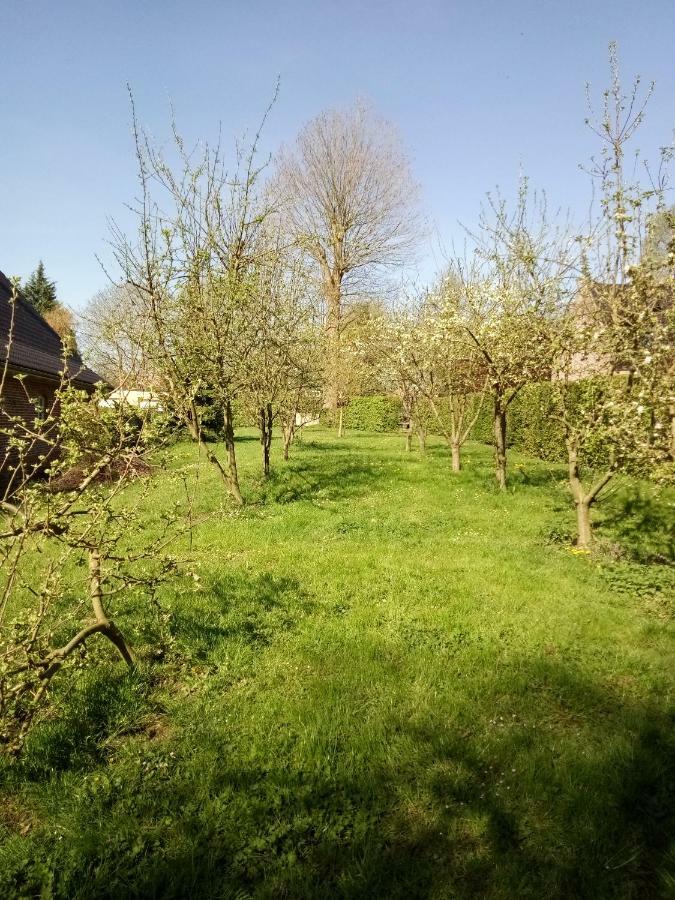 Gite Du Montagnard Oxelaere Exterior photo